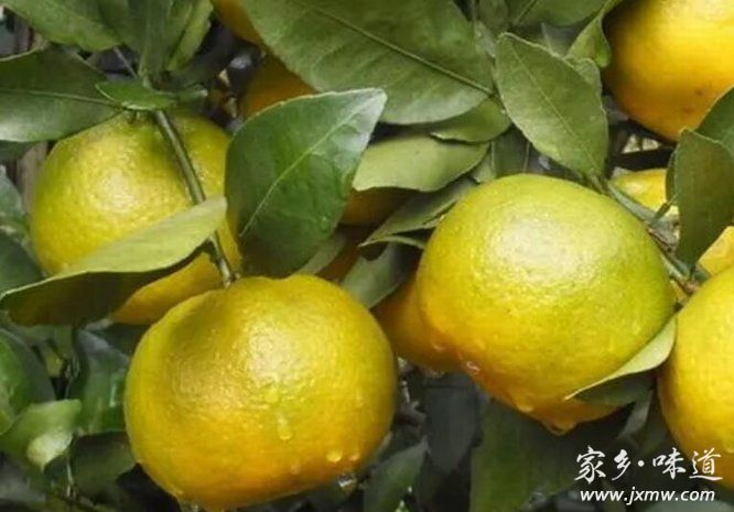 QQ截圖20221107133102.jpg